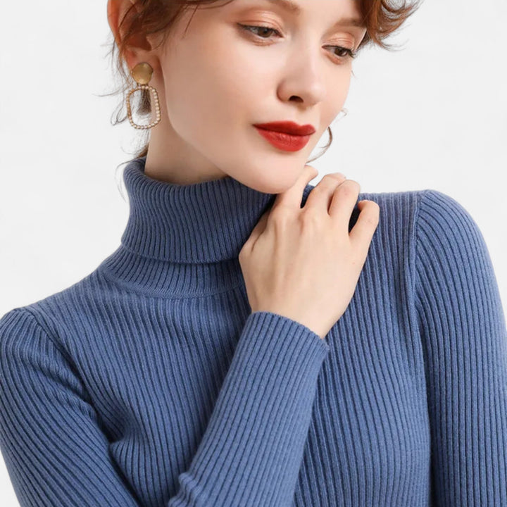 Slim Fit Long Sleeve Ribbed Turtleneck Sweater