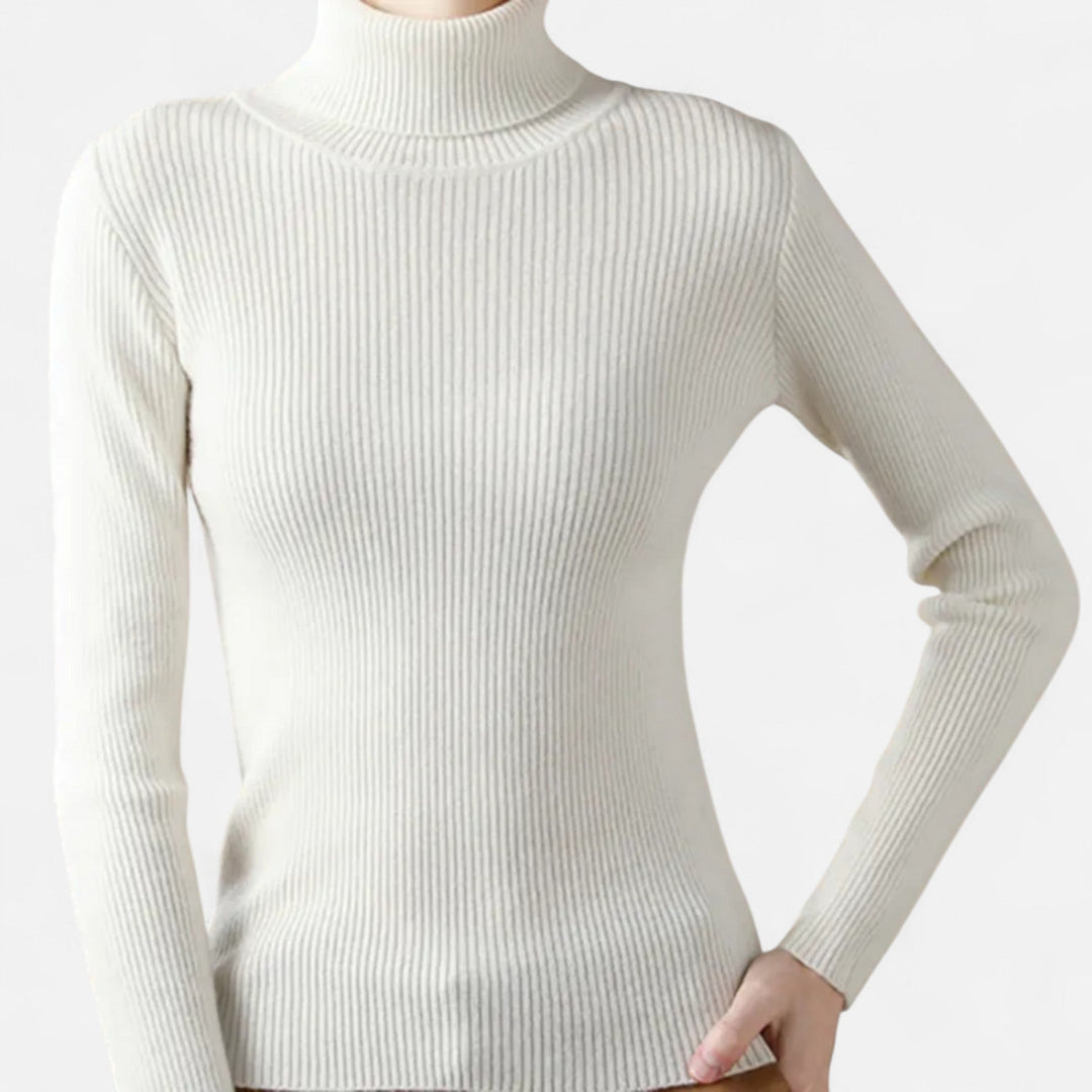 Slim Fit Long Sleeve Ribbed Turtleneck Sweater