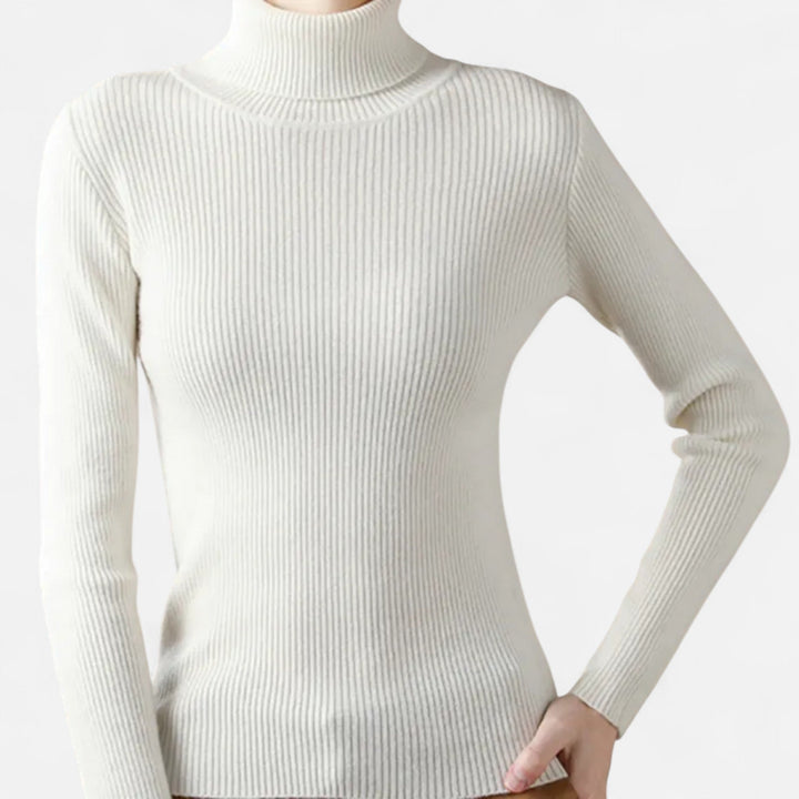 Slim Fit Long Sleeve Ribbed Turtleneck Sweater